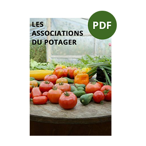guide numerique les associations dans le potager